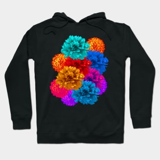 Warholianas 2a Hoodie